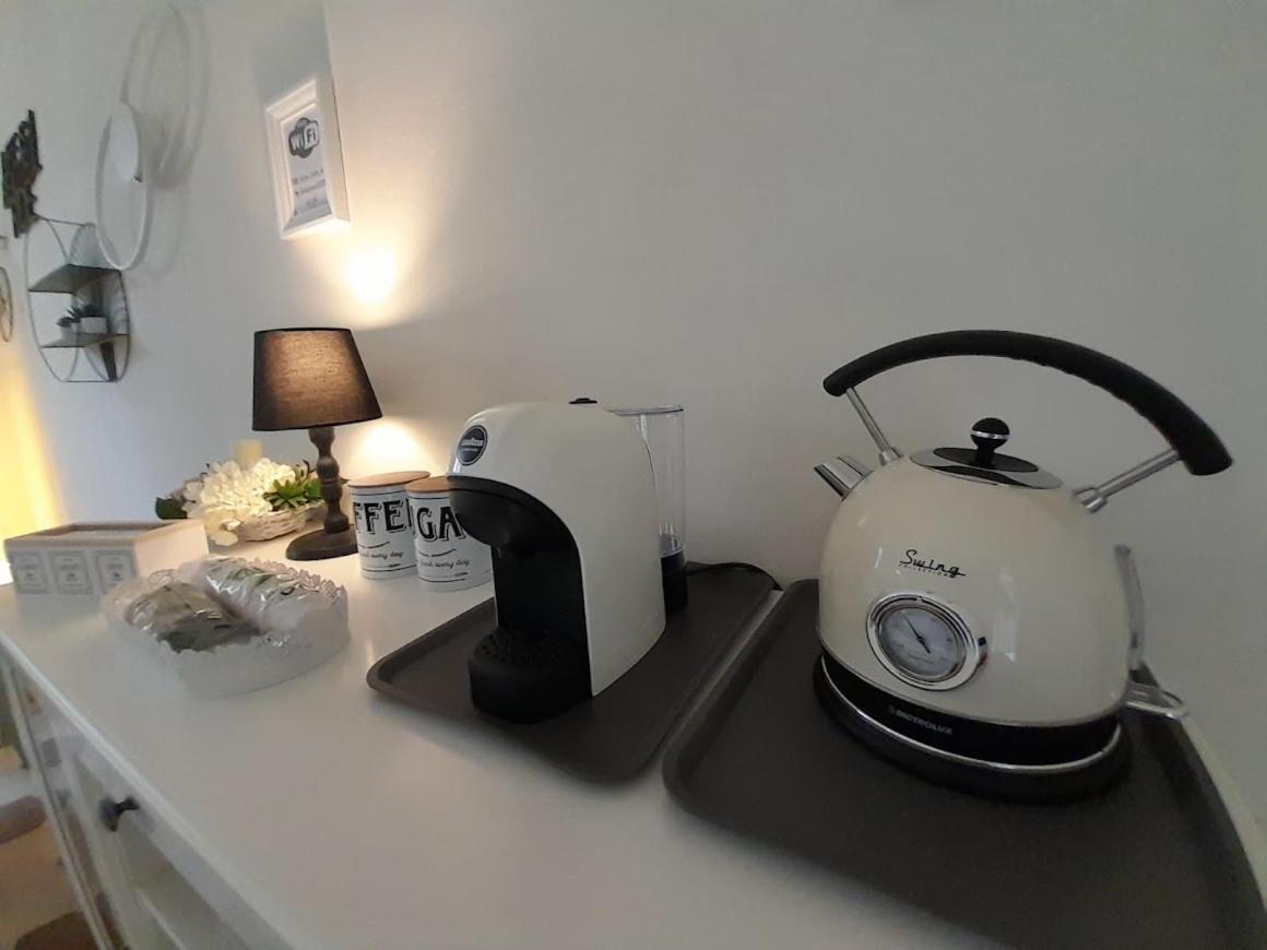 B&B Villino Luschi Pisa Centro Eksteriør billede