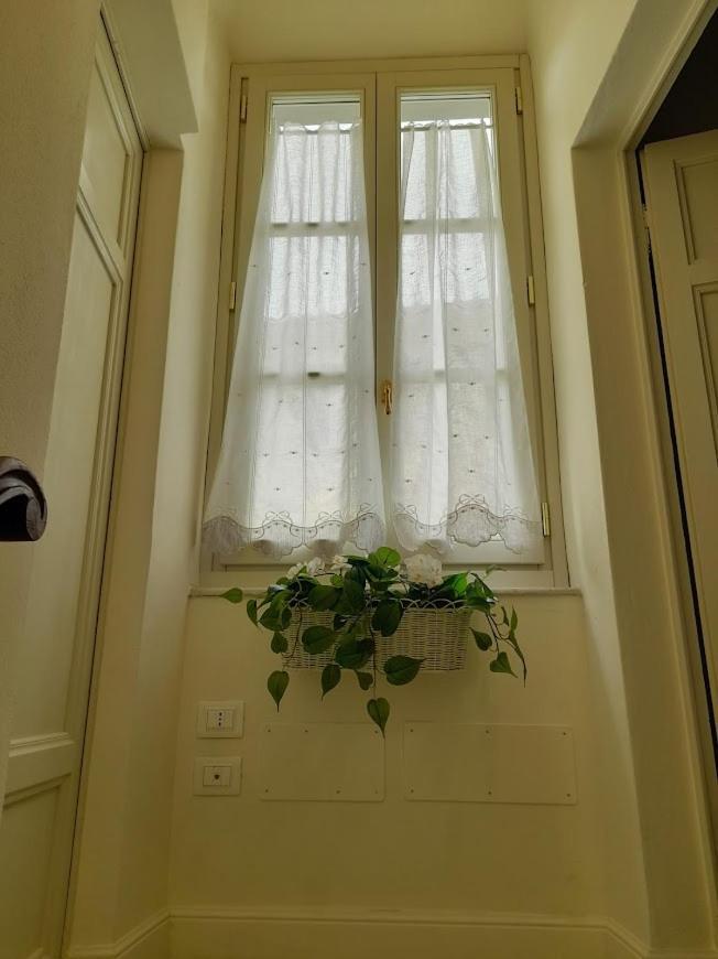 B&B Villino Luschi Pisa Centro Eksteriør billede
