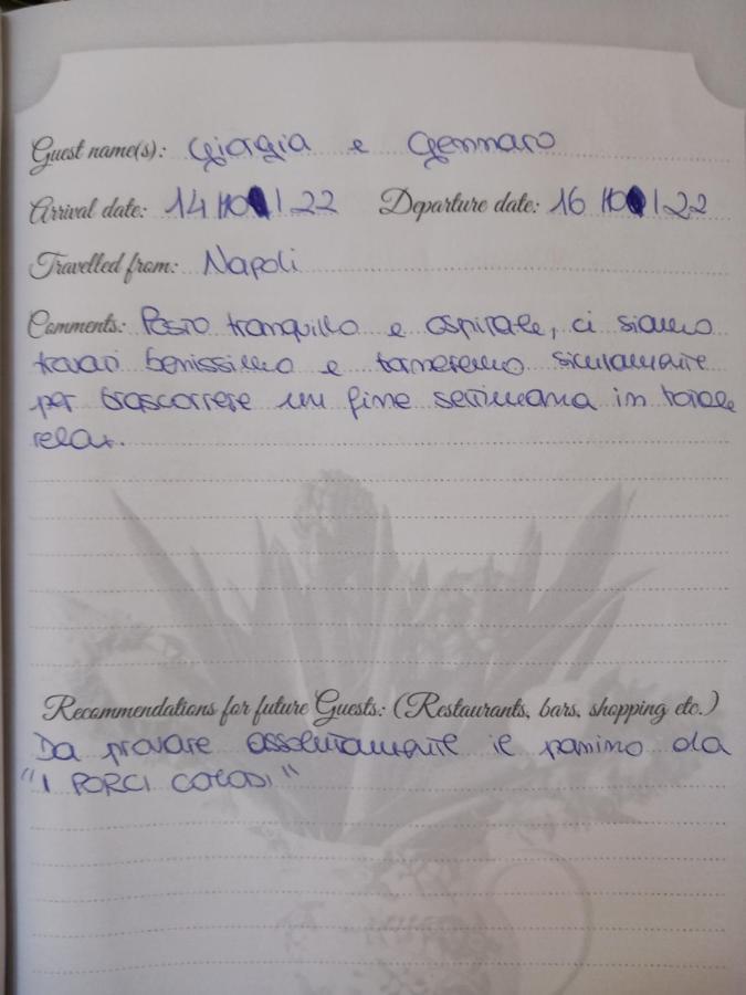 B&B Villino Luschi Pisa Centro Eksteriør billede
